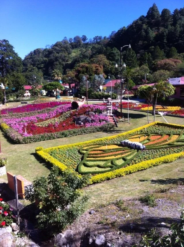flower gardens in Boquete